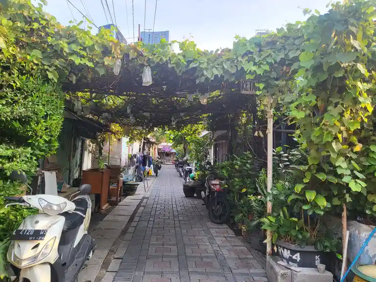 A narrow alleyway paved with bricks is covered by a lush green vine canopy, with scooters parked along both sides and a…
