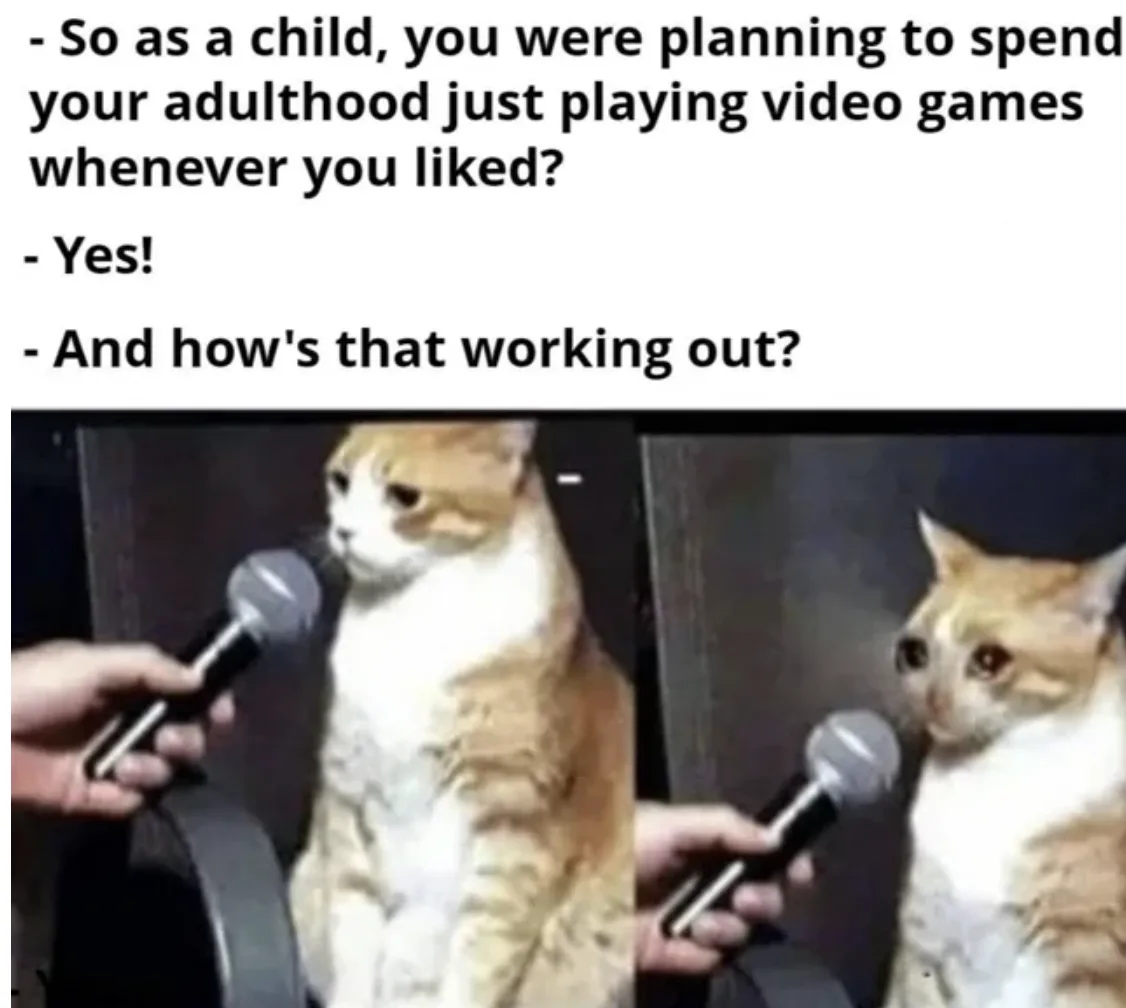 Two side-by-side photos of an orange and white cat being interviewed with a microphone, looking sad and resigned. The text…