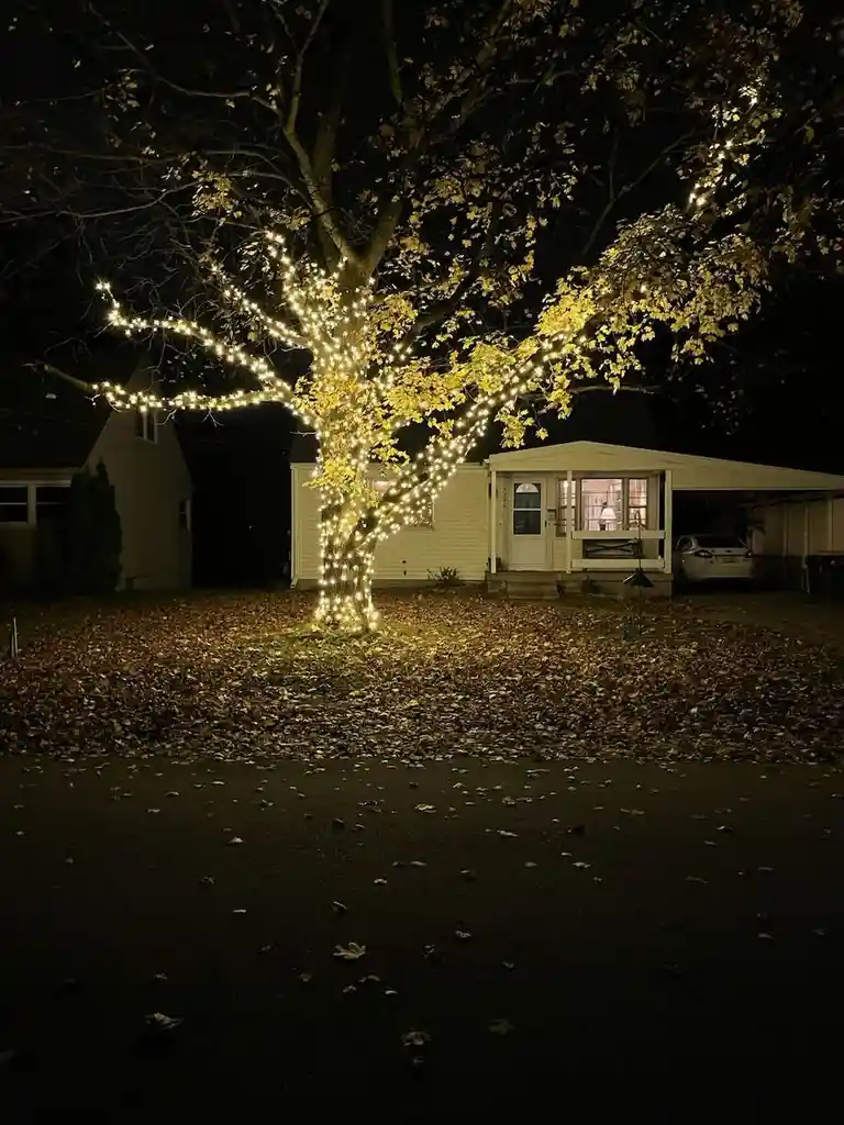 A nighttime photo of a tree in a residential yard covered in fallen autumn leaves, with strings of warm white lights wrapped…