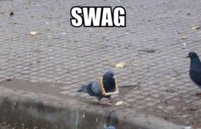 Absolutely dripping with swag