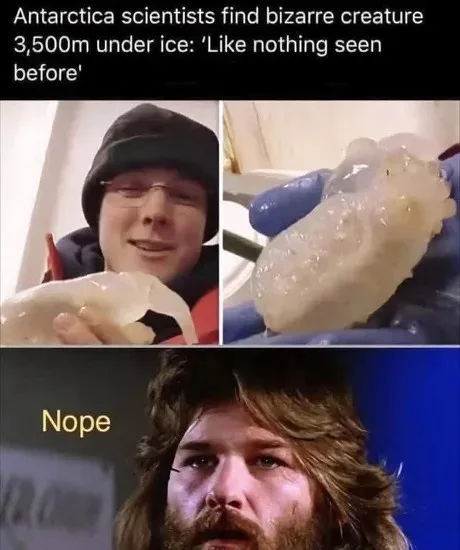 The meme features a split-screen: top left shows a smiling scientist holding a translucent, gelatinous creature; top right…