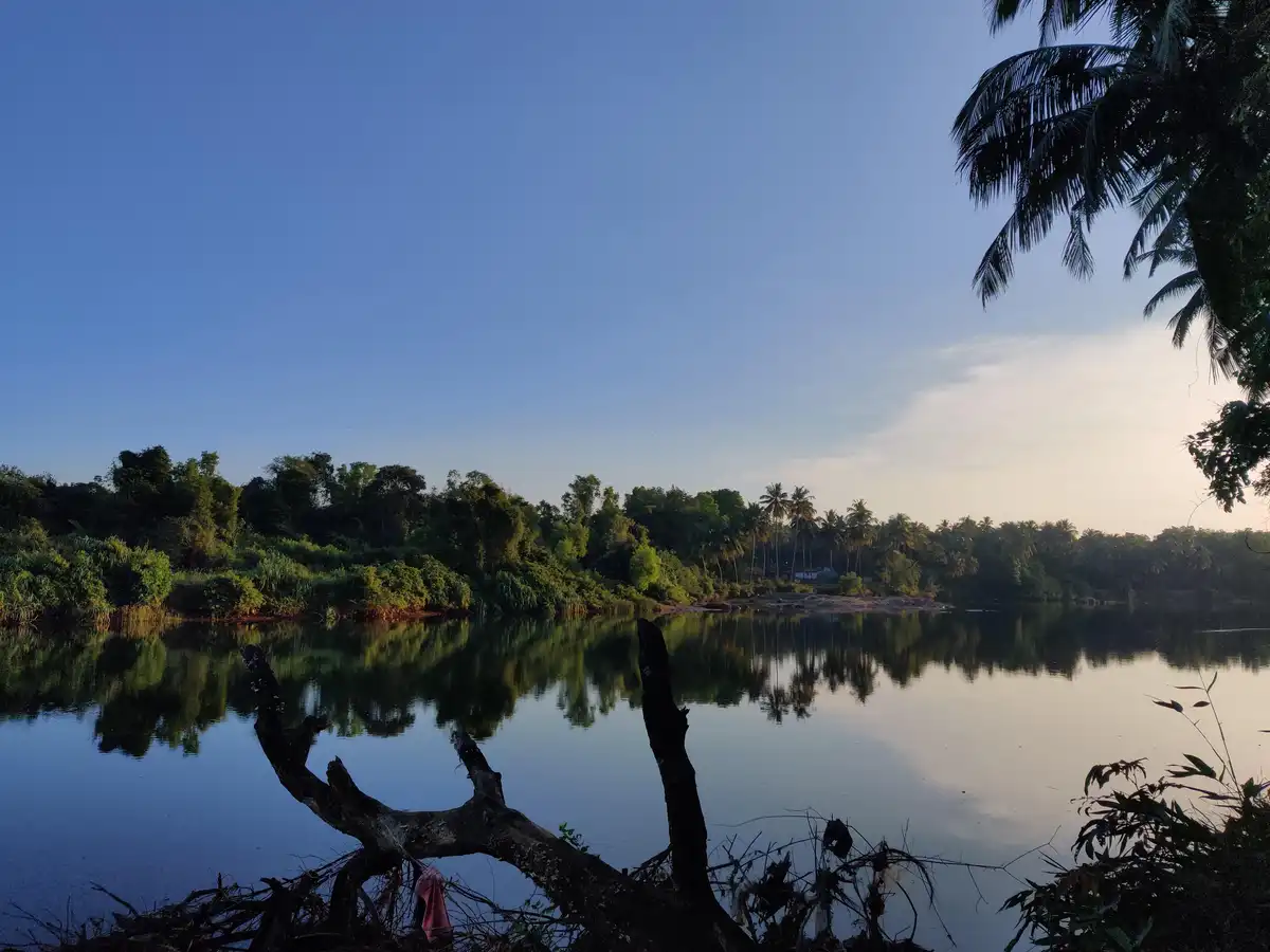 A serene tropical landscape with calm water reflecting lush green trees and a clear blue sky, framed by palm fronds and a…