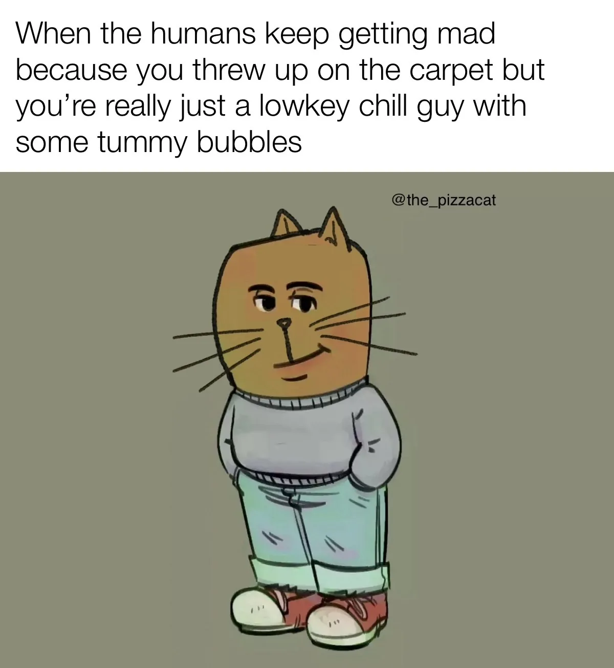 A cartoon cat wearing a grey sweater, light blue jeans, and red sneakers stands with a calm, slightly smug expression. The…