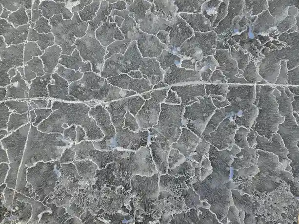 The image shows a close-up of a frozen surface, likely a pond or lake, covered in a network of intricate, white, frosty…