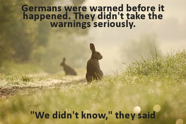 Looking at Germany's past to understand America's future.