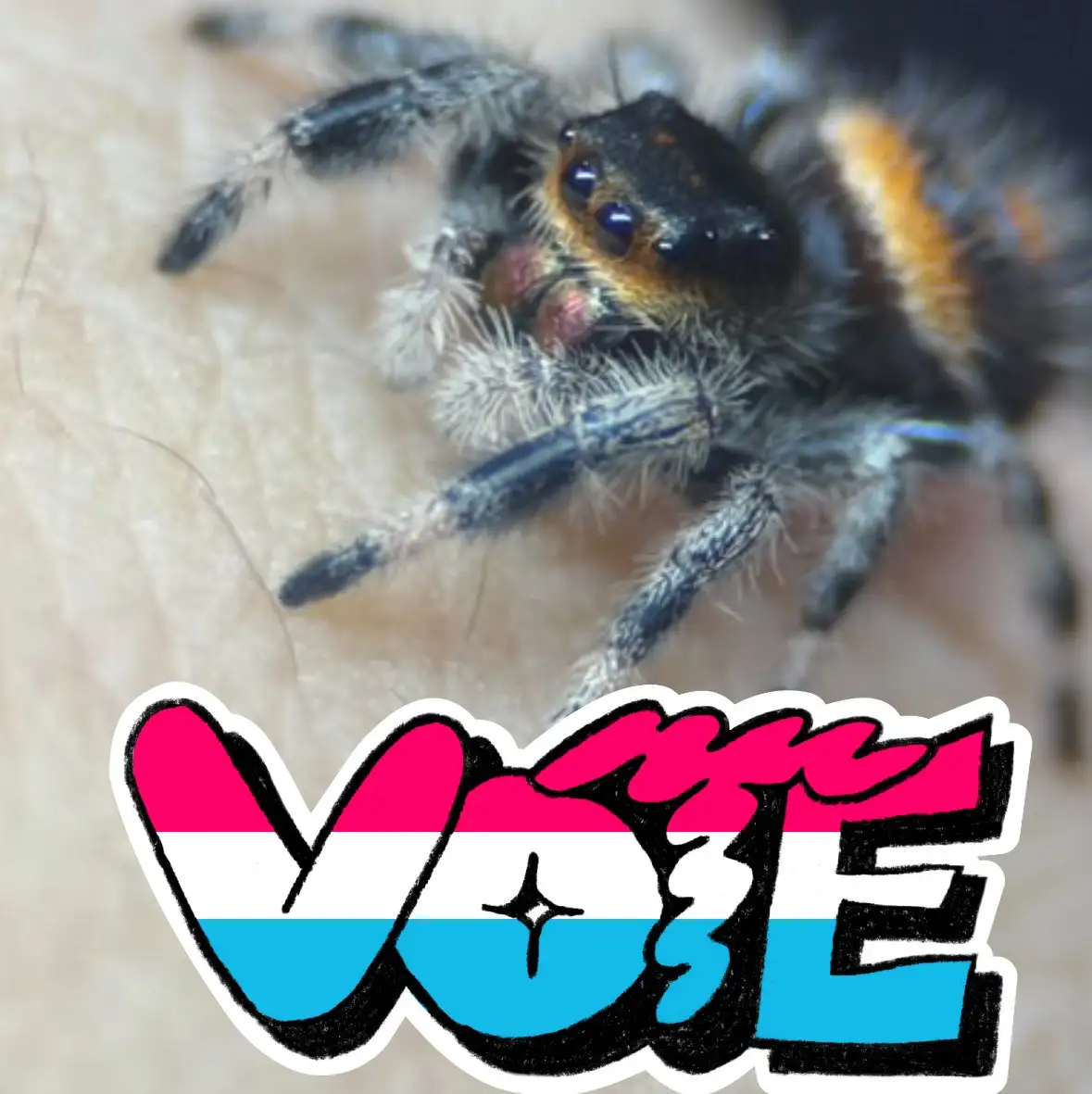 Cast Your Vote or Face the Spider Threat!