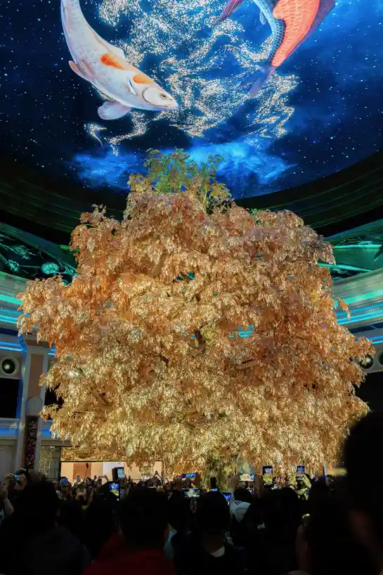 A crowd of people is gathered below a massive, glowing golden tree, looking up at a ceiling projection of two large koi fish…