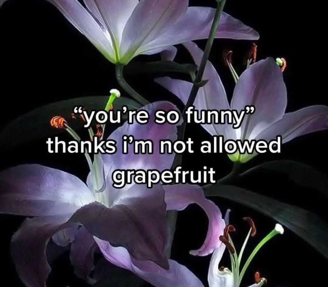 A close-up photograph of several purple lilies with dark green stems and leaves against a black background. White text is…