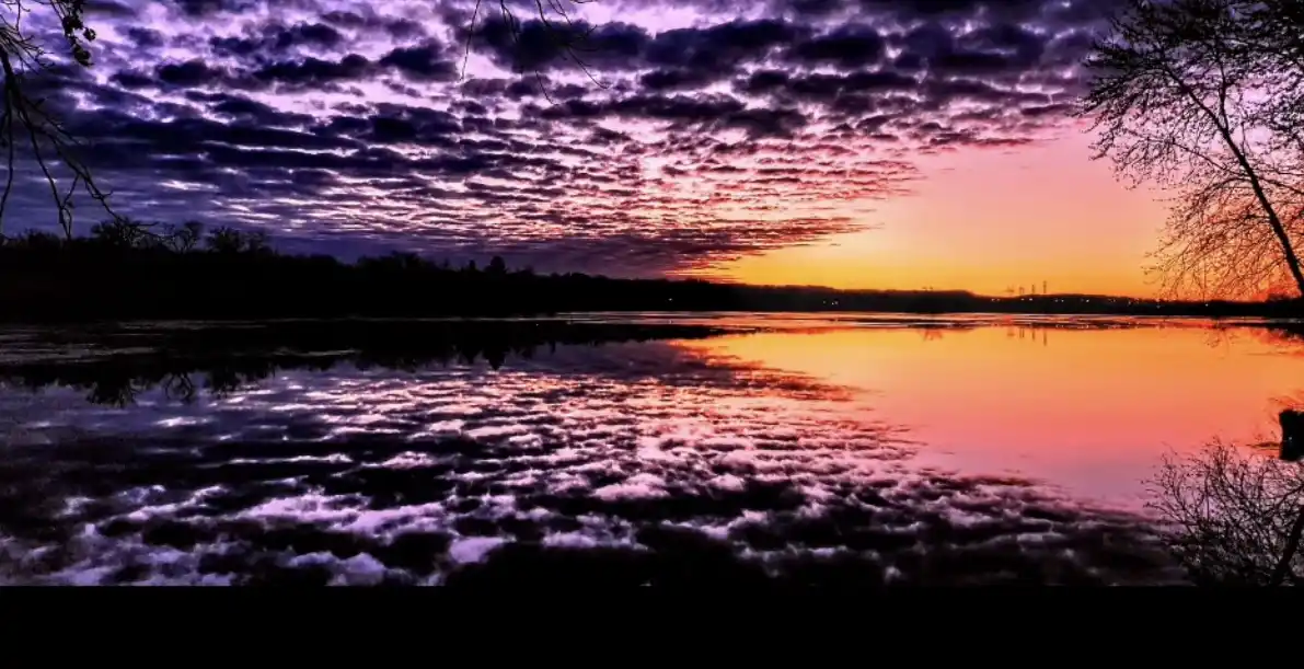 A serene sunset over a calm body of water, with vibrant purple and orange clouds reflected in the surface. Bare tree…