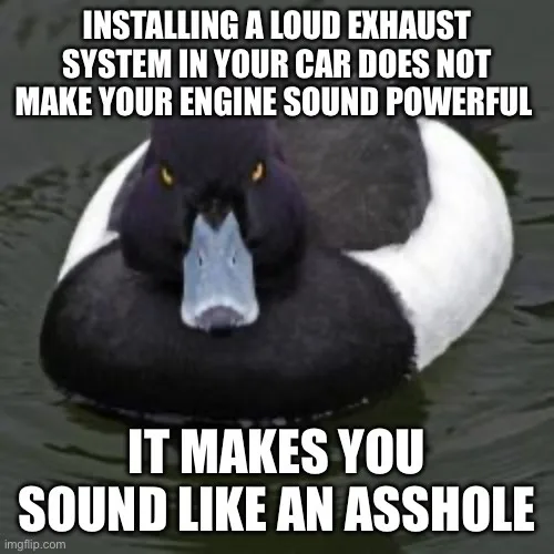A close-up photo of a duck with a stern, unimpressed expression, floating in water. The duck has a black head and neck, a…