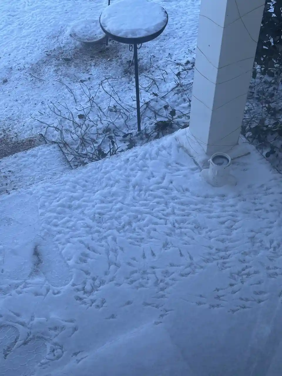 A snowy outdoor scene shows a white coffee mug sitting on a snow-covered patio near a white pillar, with footprints and…