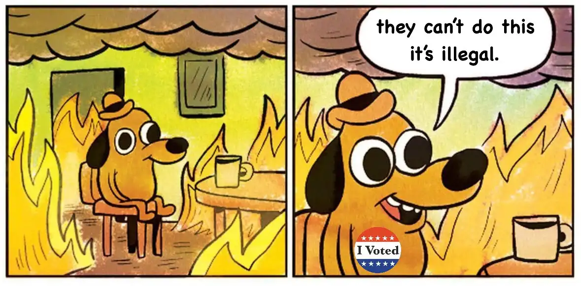 A two-panel cartoon shows a dog sitting calmly in a room engulfed in flames. In the first panel, the dog looks surprised. In…