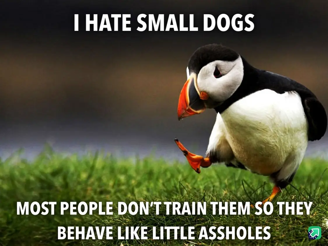 A puffin stands on green grass with one foot lifted, looking down with a disgruntled expression. The text overlaid in white…