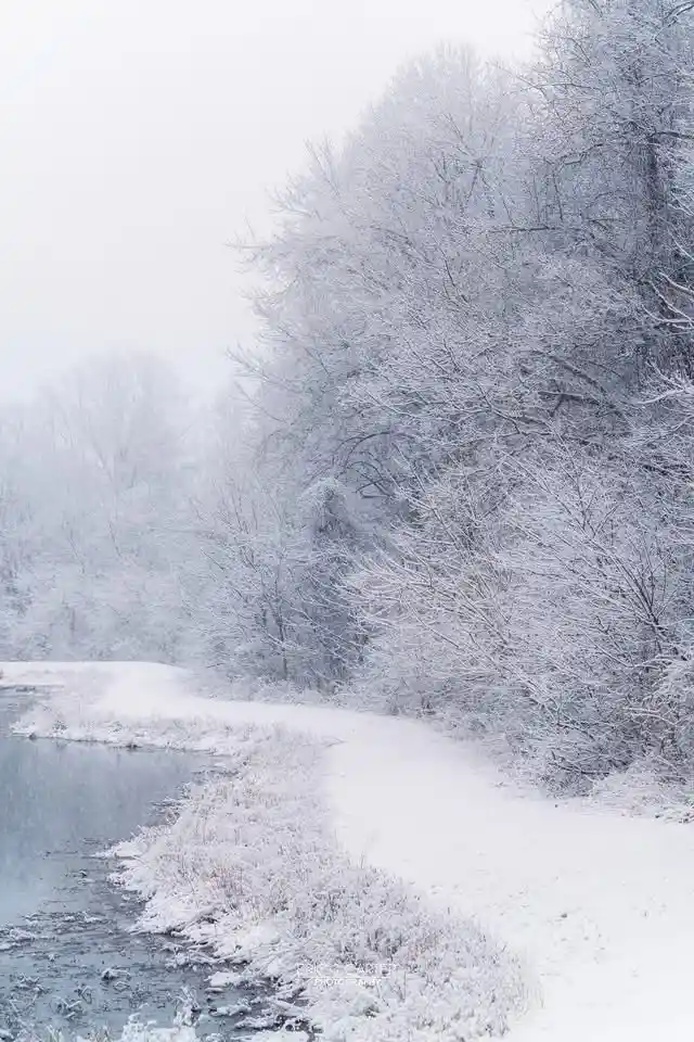 Brace yourself for the snowstorm!