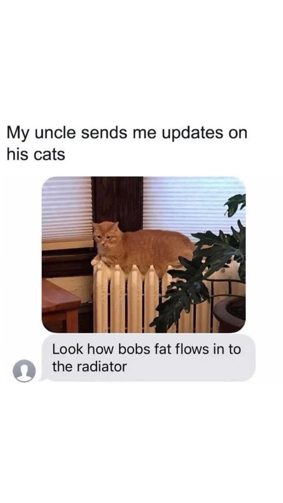 An orange tabby cat is lounging on top of a white radiator, looking unimpressed. The image is framed as a text message…