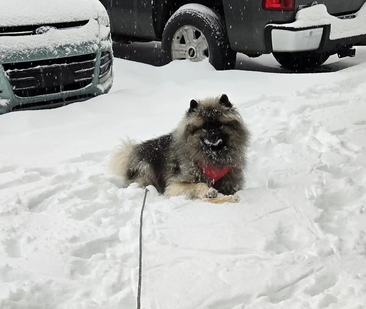 Should I just go inside?