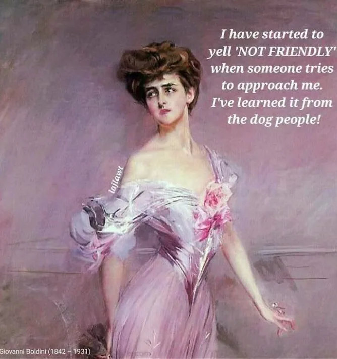 A vintage painting of a woman in a pink dress with a stern expression, overlaid with text that reads 'I have started to yell…