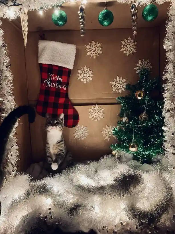 A tabby cat sits inside a cardboard box decorated as a miniature Christmas scene, surrounded by white tinsel, a small green…