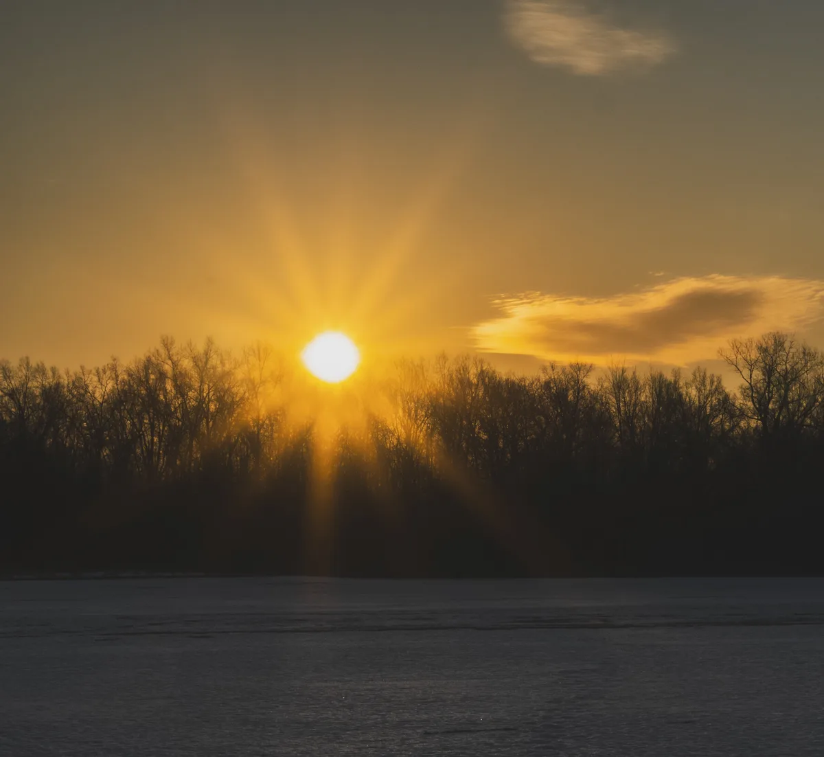 A serene winter sunrise with a bright sun casting golden rays over a frozen lake, silhouetting bare trees along the horizon…