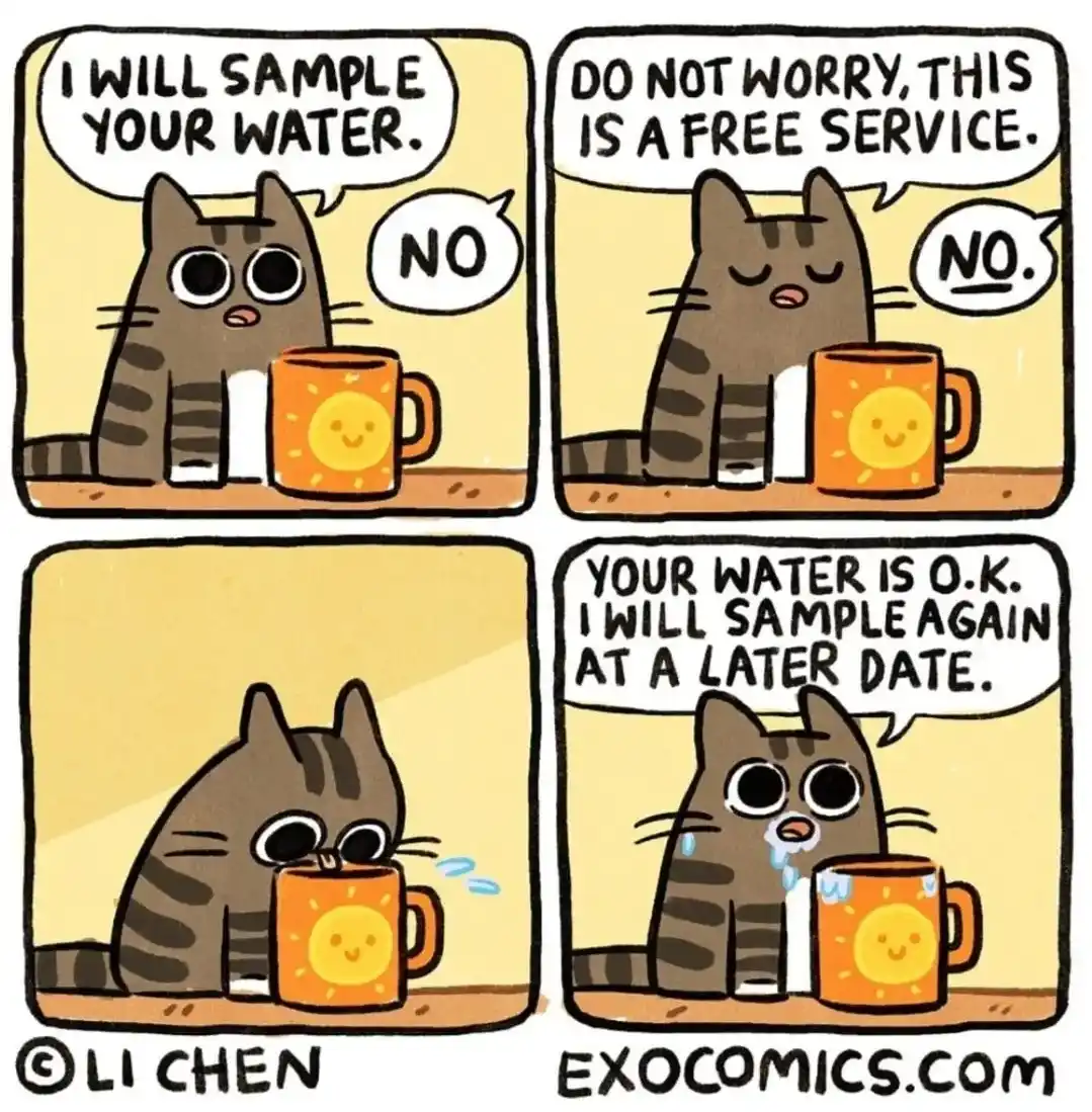 The perfect combo: Cats and coffee mugs.