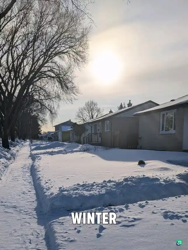 A snowy residential street with houses and bare trees under a bright sun, with the word 'WINTER' overlaid in bold white text…