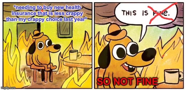 A two-panel comic featuring a cartoon dog sitting calmly in a room engulfed in flames. In the first panel, text above the…