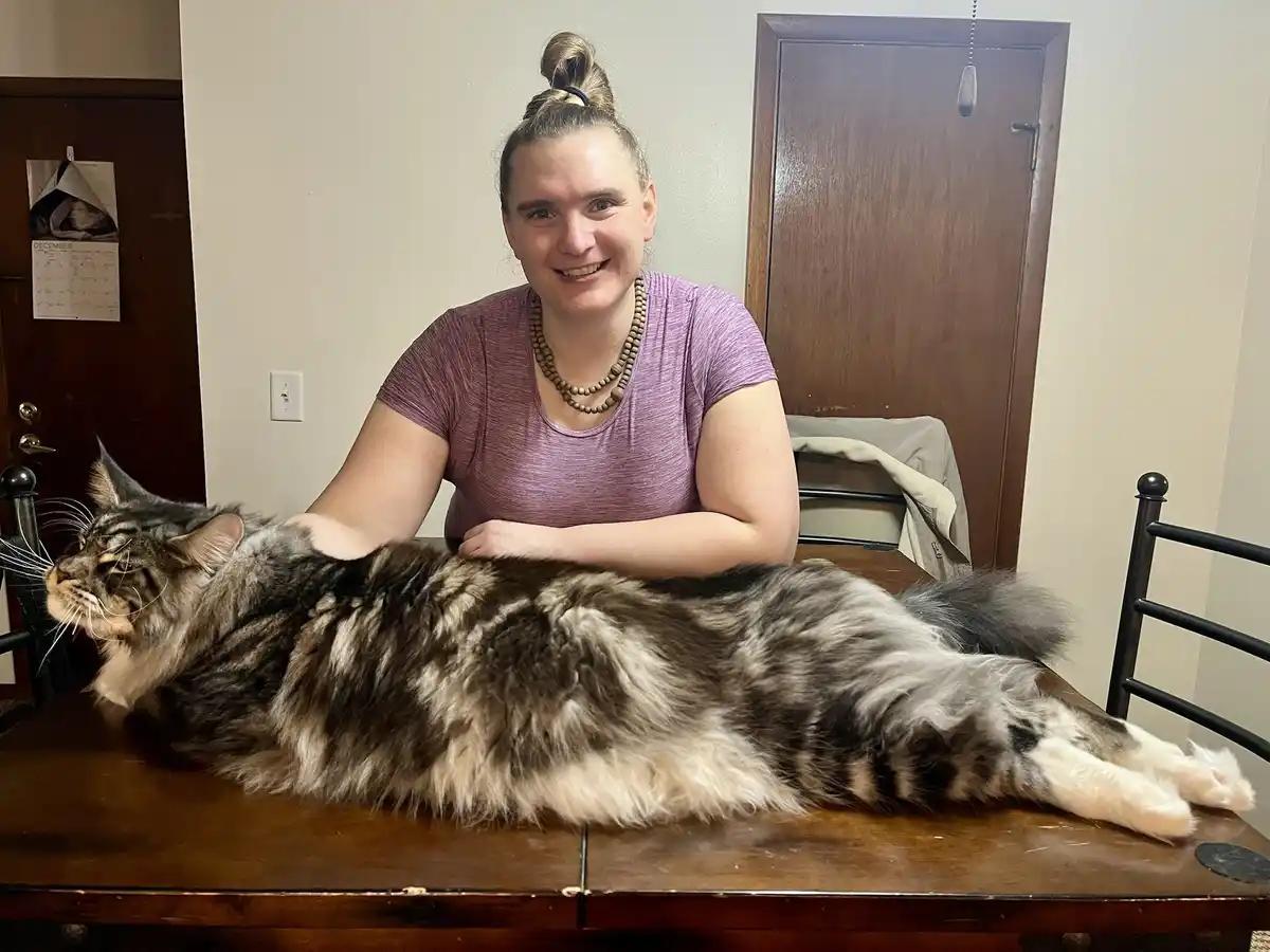 A woman with her hair in a bun and wearing a purple shirt smiles at the camera while sitting behind a very large, fluffy…