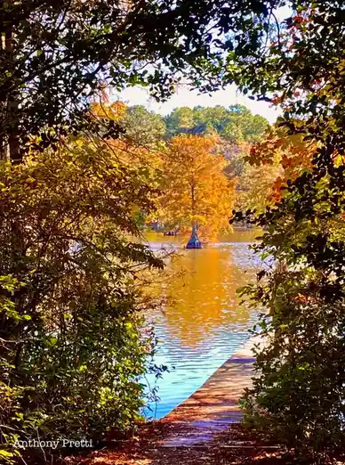 The Essence of Autumn Captured