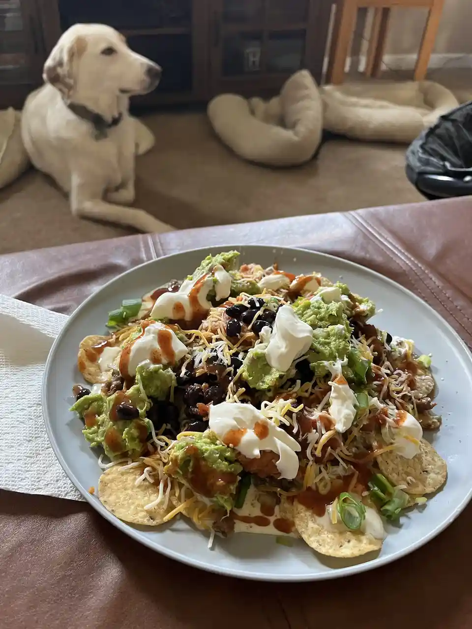 A plate of loaded nachos with guac, cheese, sour cream, and salsa sits on a table, while a light-colored dog lies in the…