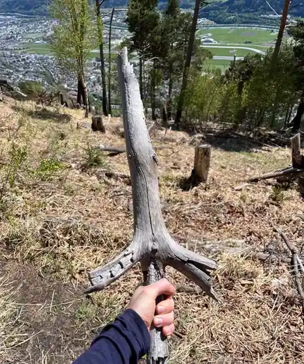 A person's hand holds up a weathered, naturally split tree branch that resembles a sword, with a forest and town visible in…