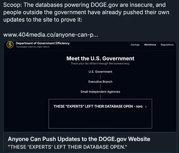 A screenshot of a dark-themed website titled 'Department of Government Efficiency' with a flowchart titled 'Meet the U.S…