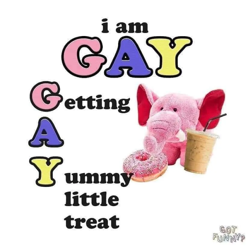 A pink plush elephant sits beside a frosted donut and an iced coffee drink, with large colorful letters spelling 'GAY'…