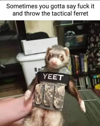 A ferret is being held by a person's hand and is wearing a camouflage tactical vest with the word 'YEET' in bold white…