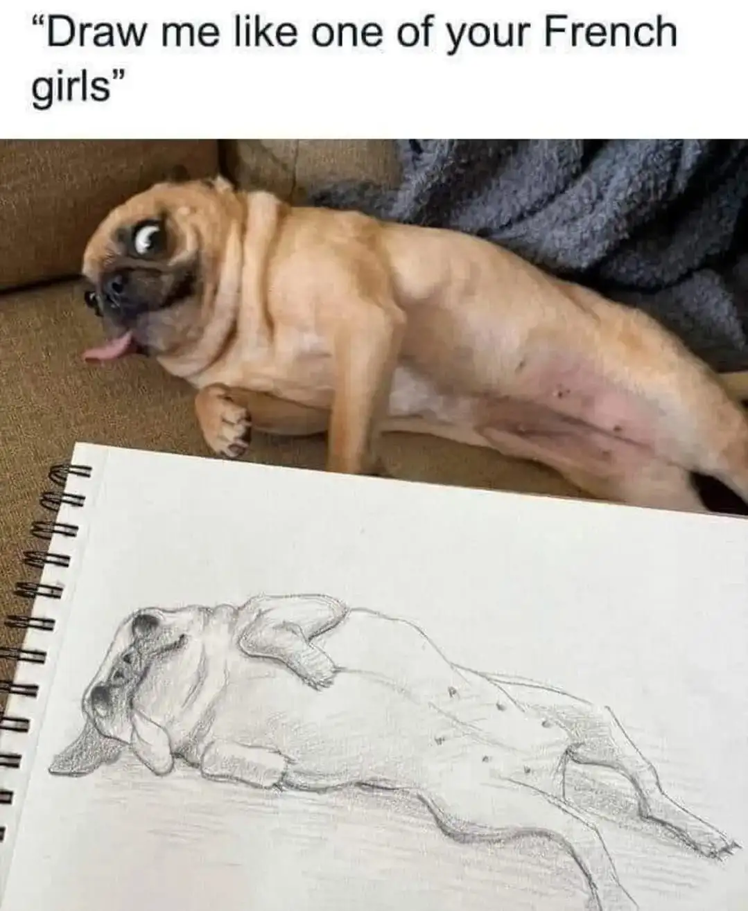 A light brown pug dog lies on its back on a couch, looking up with wide eyes and its tongue out, while a sketchbook in front…