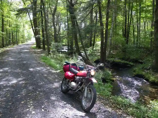 A red motorcycle with saddlebags is parked on a gravel forest road beside a small stream, surrounded by tall green trees…