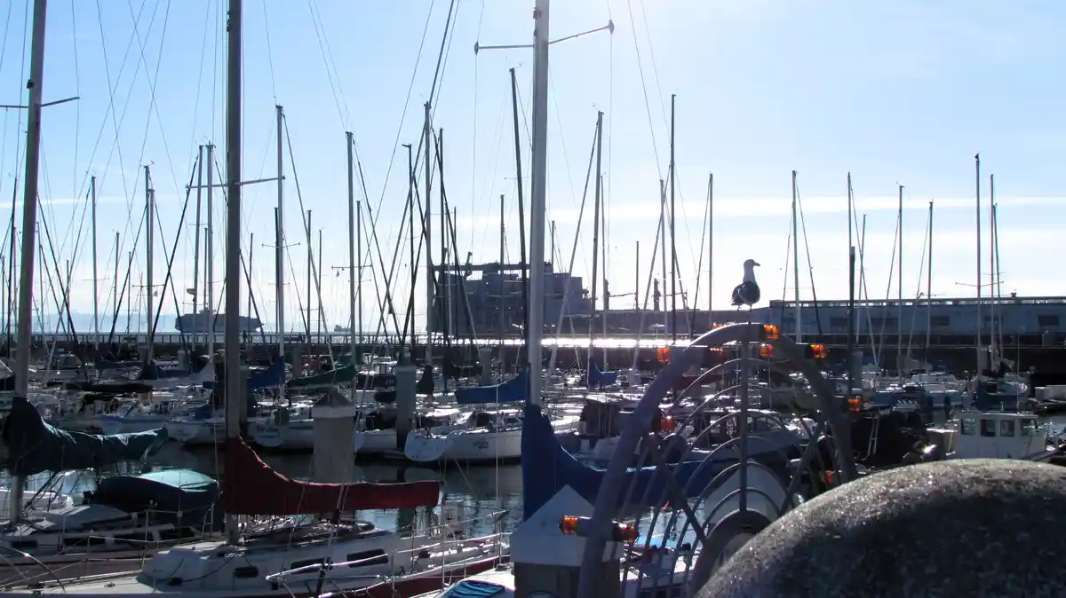 A seagull perches atop a curved metal railing in the foreground, overlooking a densely packed marina filled with numerous…