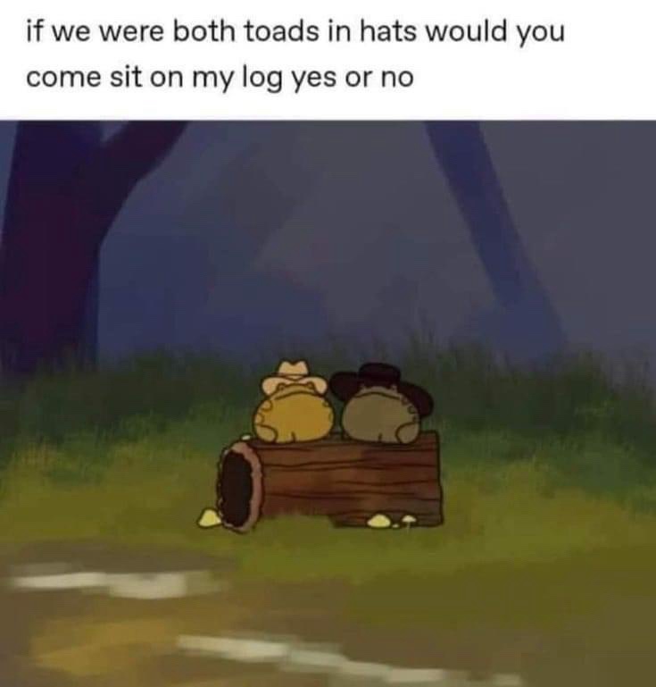 Two cartoon toads wearing cowboy hats are sitting side-by-side on a log in a grassy outdoor setting at dusk. The toad on the…
