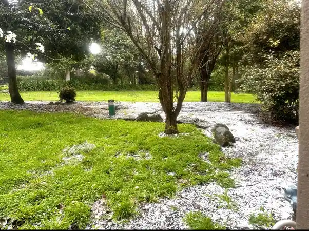 Remembering September in Melbourne: A Rare White Christmas