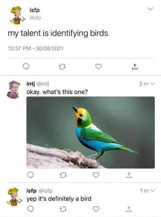 A screenshot of a Twitter thread shows a user named 'isfp' claiming their talent is identifying birds. Another user 'intj'…
