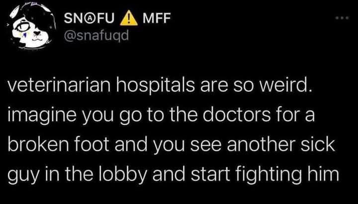 A black-background image displays white text mimicking a social media post from a user named 'SN@FU ⚠️ MFF' with handle…