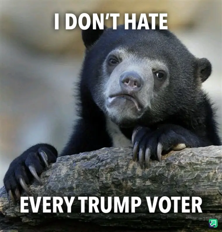 A close-up photo of a black bear with a pensive, slightly melancholic expression, resting its paws on a log. White bold text…