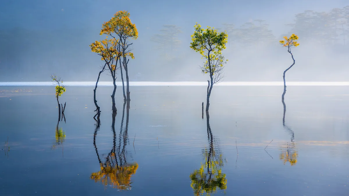 Da Lat, Vietnam's "City in the Fog" or "City of Eternal Spring", is shrouded in mist all year-round, hiding its serene…