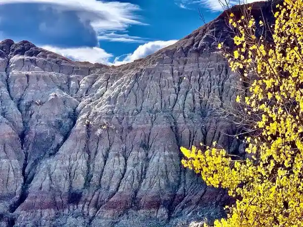 Exploring the Majestic Canyon Landscape