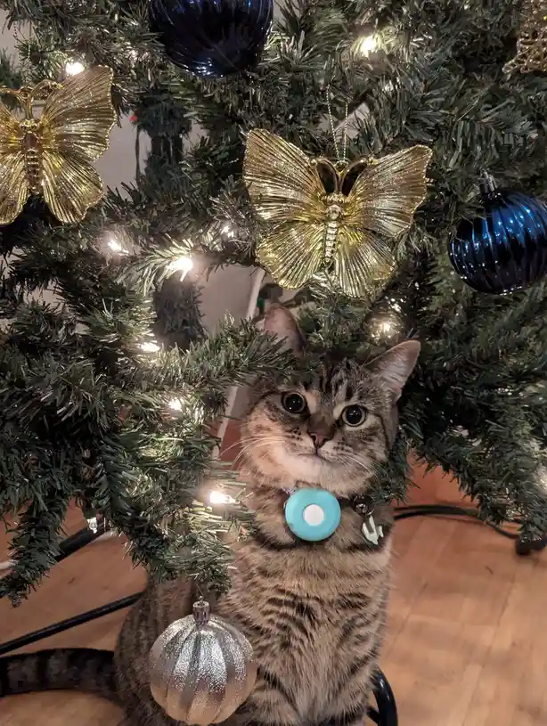 Merry Christmas from the One and Only Peppermint!