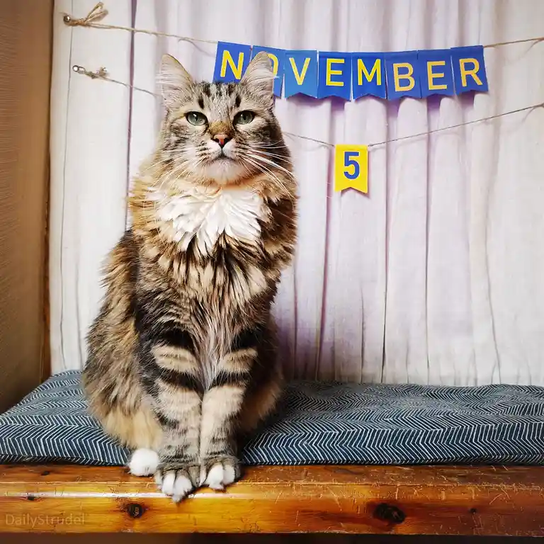 Mark Your Calendars: November 5