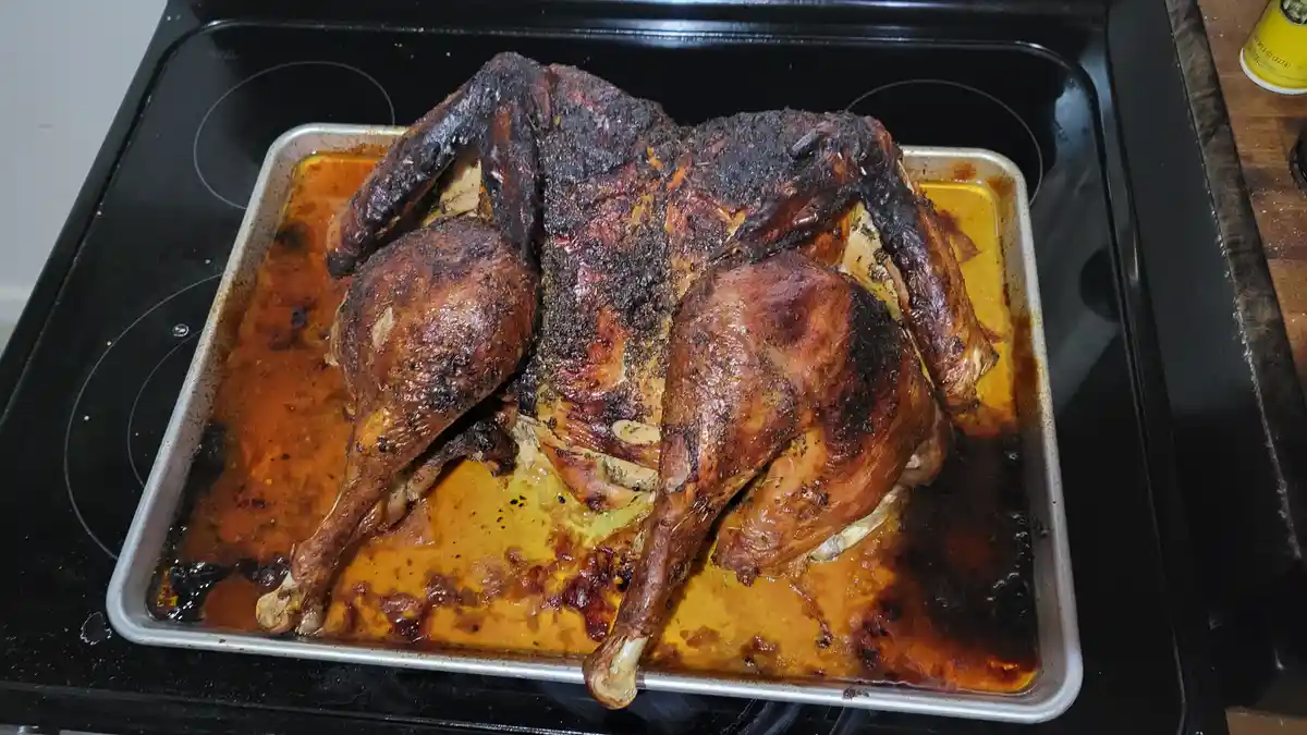 A roasted turkey sits on a metal baking sheet on a black stovetop, its skin charred black in places while other areas are…