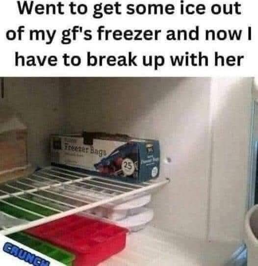 A photo of an empty freezer shelf with a box of freezer bags and an ice cube tray. The overlaid text reads: 'Went to get…