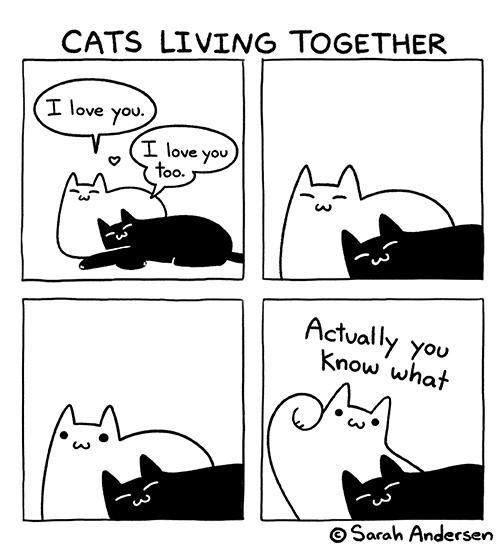 A four-panel comic strip by Sarah Andersen titled 'CATS LIVING TOGETHER' shows two cats expressing affection, then one cat…