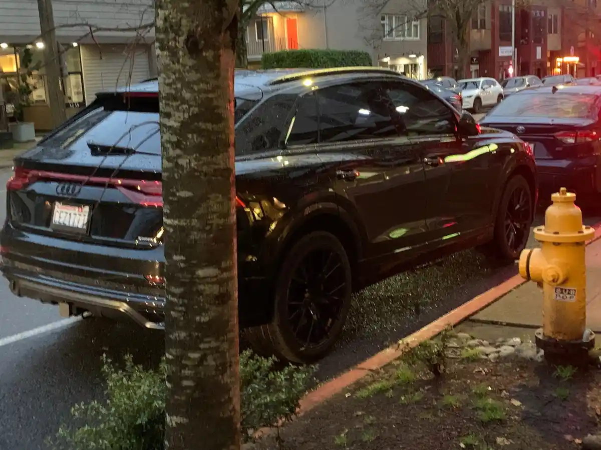 A black Audi SUV is parked crookedly on a wet city street, partially obscured by a tree trunk, with its rear bumper and side…