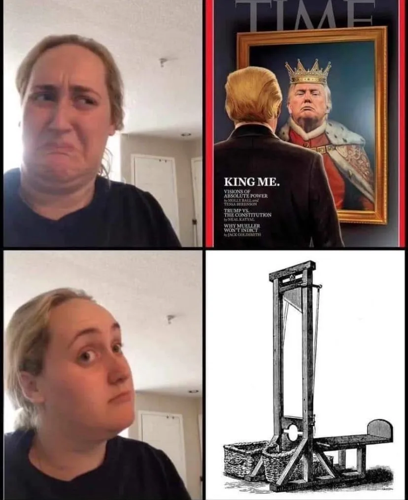 A four-panel meme: top-left shows a woman with a disgusted, skeptical expression; top-right is a TIME magazine cover…